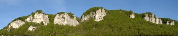Panorama Hausner Felsenkranz Upper Danube Nature Park — Stok Foto