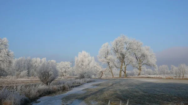 Vue Panoramique Sur Paysage Hivernal — Photo