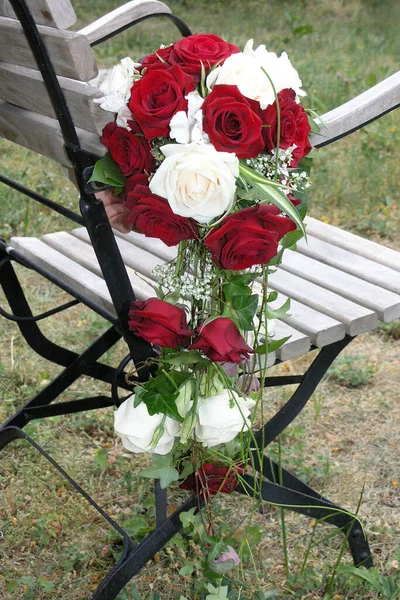 Білі Троянди Квіти Пелюстки — стокове фото