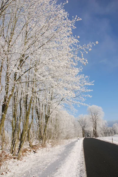 Magia Inverno Natureza Coberta Neve — Fotografia de Stock