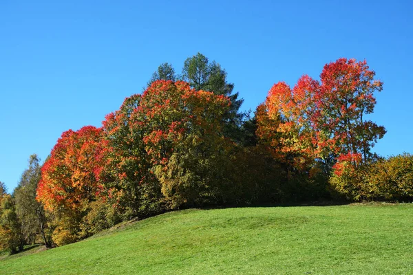 Schöne Herbstlandschaft Natur — Stockfoto