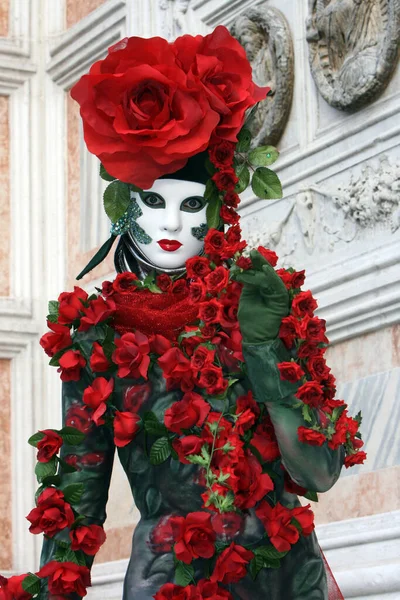 Mask Rose Vine — стоковое фото