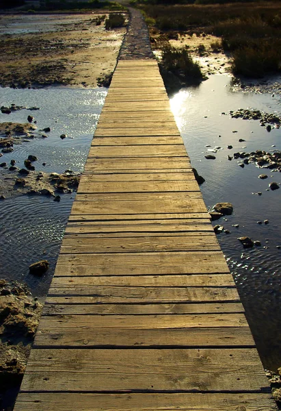 Scenic View Bridge Structure Architecture — Stock Photo, Image