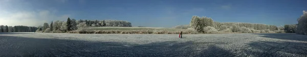 Панорама Фигуристка Wannenberger Weiher — стоковое фото