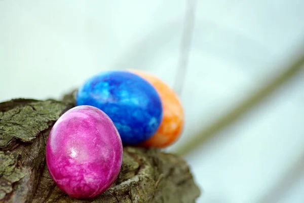 Decoração Ovo Páscoa Colorida — Fotografia de Stock