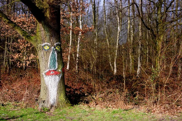 Πνεύμα Του Δάσους Του Selbachpark Στο Hamm Pelkum — Φωτογραφία Αρχείου