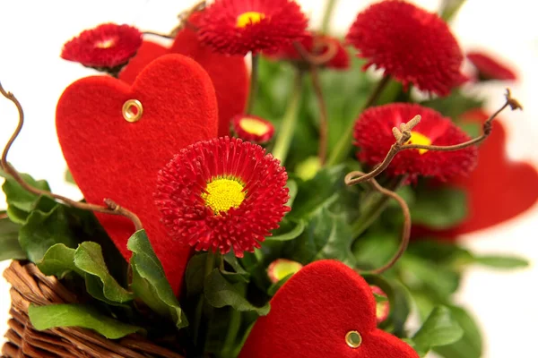 Coração Vermelho Flores Fundo Branco — Fotografia de Stock