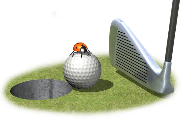 Balón Golf Frente Agujero Con Ladybug —  Fotos de Stock