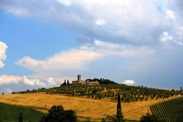 Tuscany Landscape Crete Senesi Tuscany — Stock Photo, Image