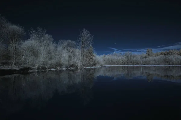 Lac Dans Forêt — Photo