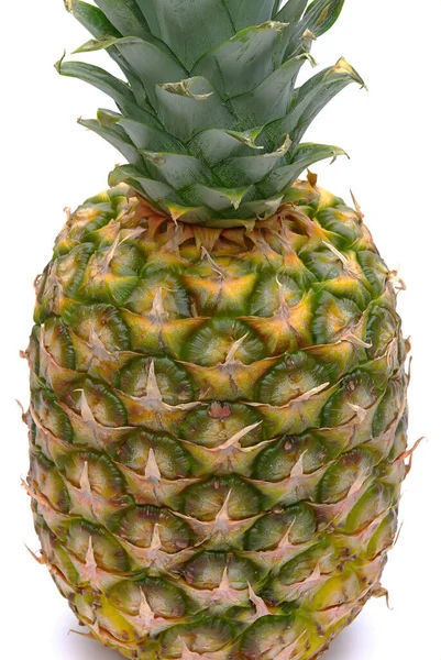 Świeże Ananasy Rośliny Owocowe — Zdjęcie stockowe