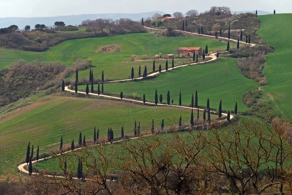 Paesaggio Toscano Nelle Crete Senesi Toscana — Foto Stock