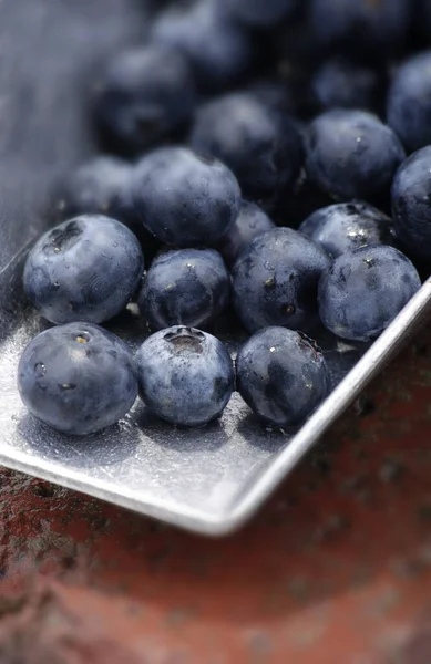 Prunes Fraîches Dans Bol — Photo