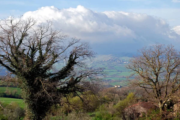 Paysage Toscan Dans Les Crete Senesi Toscane — Photo