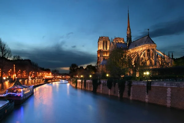 Notre Dame Paryżu Obrazy Stockowe bez tantiem
