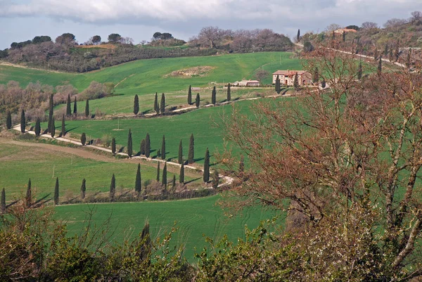 Paesaggio Toscano Nelle Crete Senesi Toscana — Foto Stock