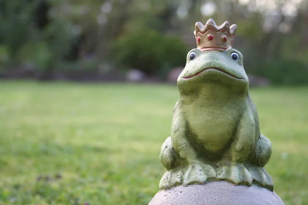 Froschkönig Auf Dem Goldenen Ball — Stockfoto