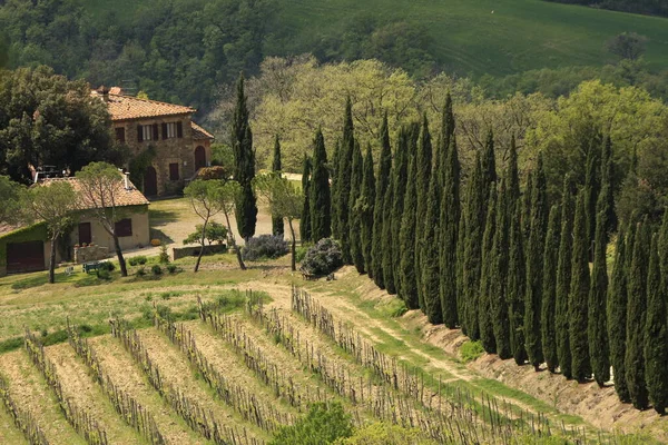 Toskanische Landschaft Den Crete Senesi Der Toskana — Stockfoto