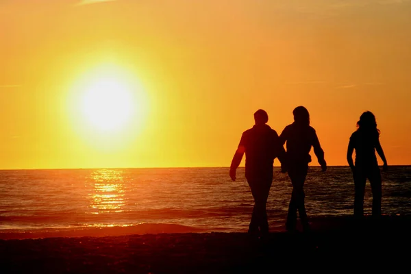 Silhouette Couple Sur Plage Coucher Soleil — Photo