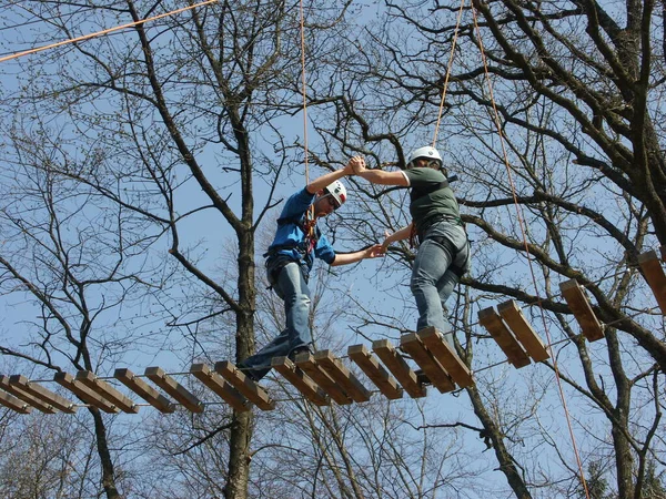 Akt Równoważenia Moście Dżungli Doświadczenie Szkolenie Szkolenie Personelu Pedagogicznego Ogrodzie — Zdjęcie stockowe