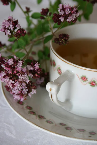 白い背景に花のあるお茶を飲みながら — ストック写真