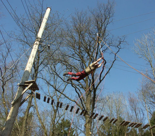 Spring Naar Trapeze Ervaar Paedagogische Persoonlijkheidstraining Amp Teamtraining Het Hoogtouwenparcours — Stockfoto