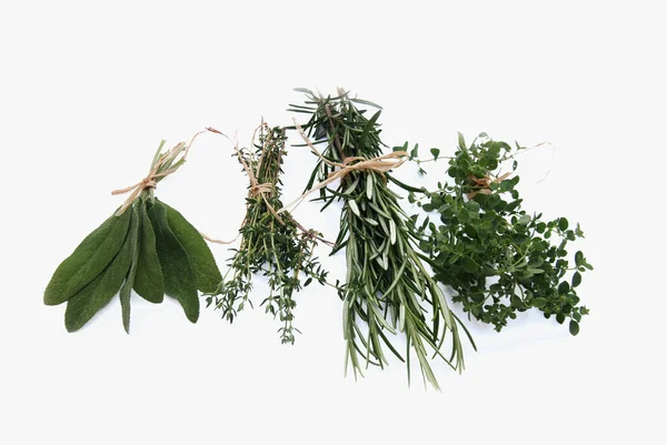 Fresh Green Rosemary Isolated White — Stock Photo, Image