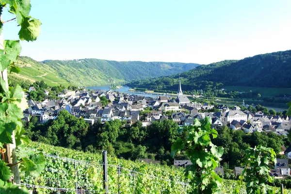 Moselle Είναι Ένας Ποταμός Που Διασχίζει Γαλλία Λουξεμβούργο Και Γερμανία — Φωτογραφία Αρχείου