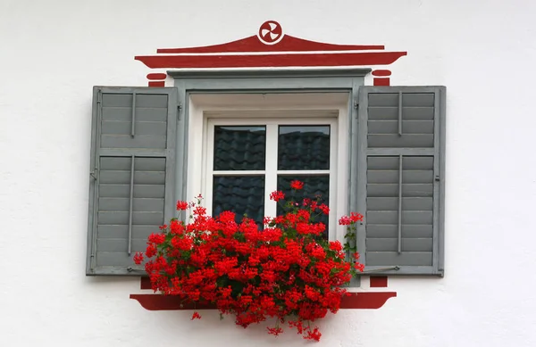 Florerías Tirol Del Sur — Foto de Stock