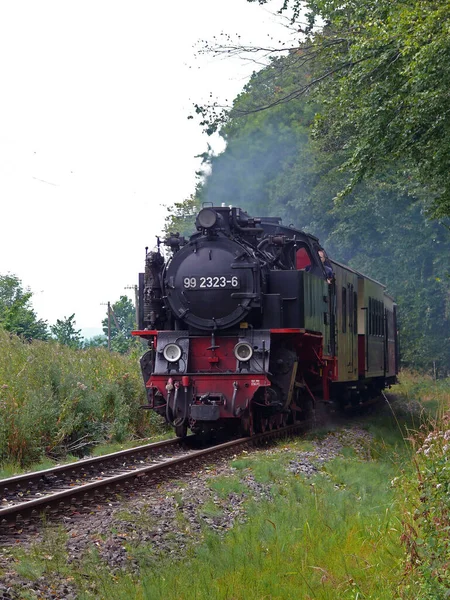 Velha Locomotiva Floresta — Fotografia de Stock
