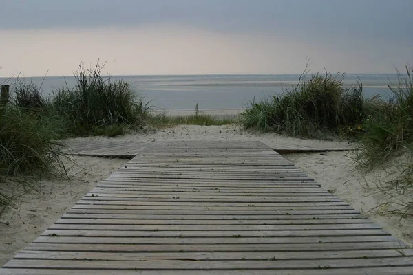 Vista Panorâmica Caminho Para Praia — Fotografia de Stock