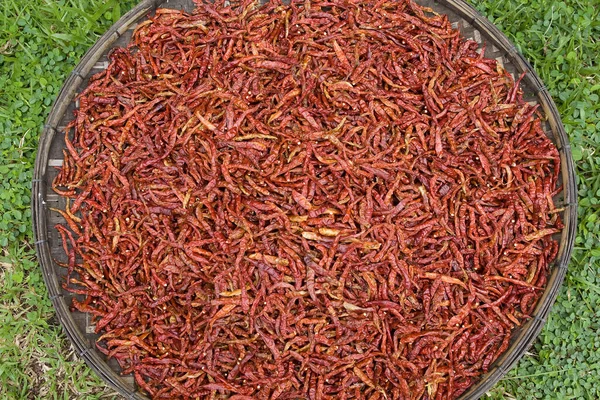 Herbes Séchées Sur Marché — Photo