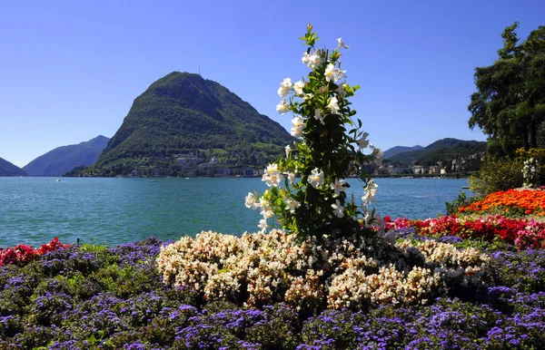 Prachtig Uitzicht Het Meer Van Geneva Zwitserland — Stockfoto