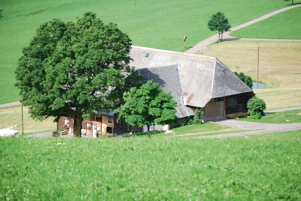 フランスの村の緑のフィールドの眺め — ストック写真