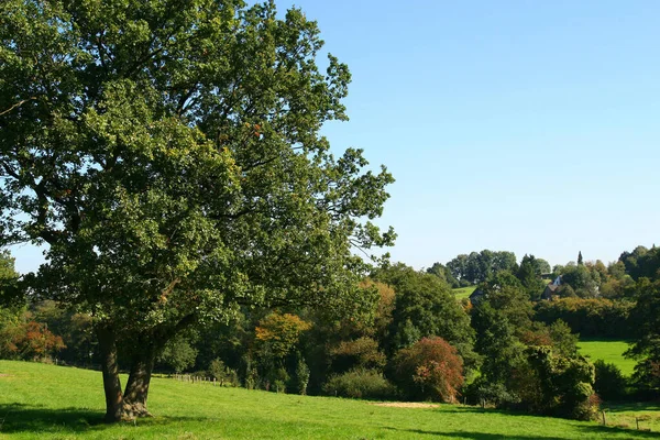 Schöne Aussicht Auf Die Natur — Stockfoto