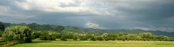 Vacker Skog Natur Bakgrunden — Stockfoto