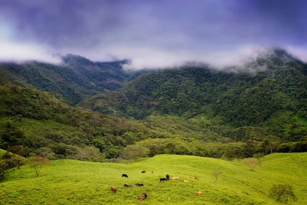 Pintoresca Vista Del Paisaje Rural — Foto de Stock