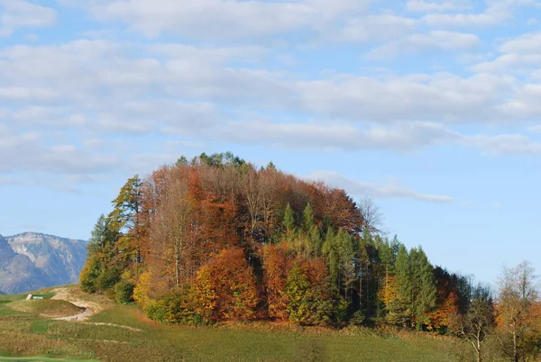 Salzkammergut Rakouská Oblast Jezer Alp Blízkosti Salcburku — Stock fotografie