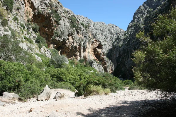 Dağları Kayaları Olan Dağ Manzarası — Stok fotoğraf