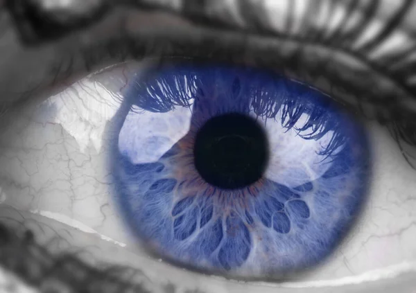 Oeil Bleu Macro Avec Iris — Photo