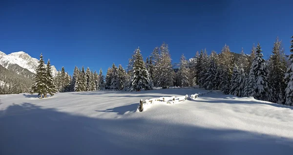 Senic Vista Maestoso Paesaggio Alpi — Foto Stock