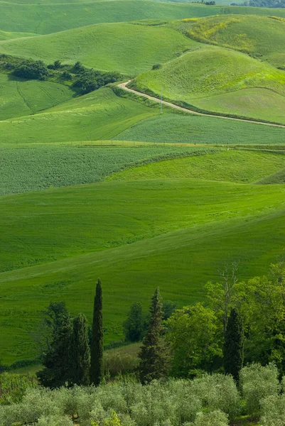 Krajobraz Toskanii Włochy Krajobraz Toskanii Włochy — Zdjęcie stockowe