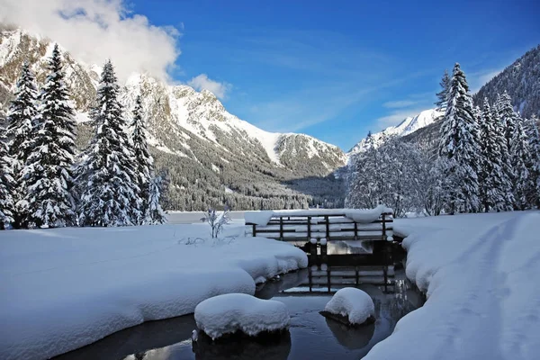 winter magic, snow covered nature