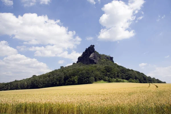 Hermoso Paisaje Naturaleza Rural — Foto de Stock