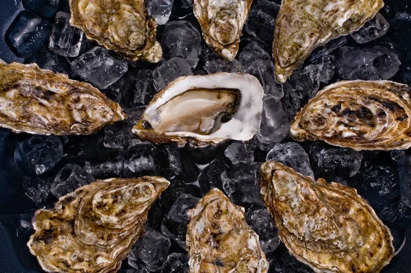 Nahaufnahme Eines Haufens Austern — Stockfoto