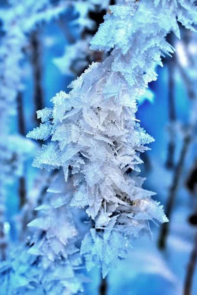 Iskristaller Vinterfrost — Stockfoto