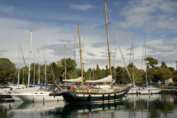 Karge Inseln Der Kvarner Bucht Kroatien Auf Der Insel — Stockfoto