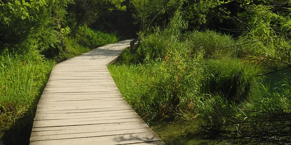 Hermosa Vista Naturaleza Escena — Foto de Stock