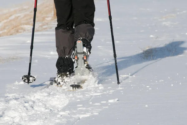 Skiër Skiën Sneeuw — Stockfoto