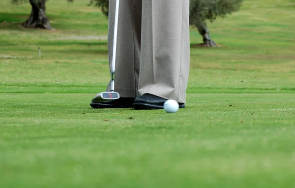Golfball Auf Dem Grünen Rasen lizenzfreie Stockfotos